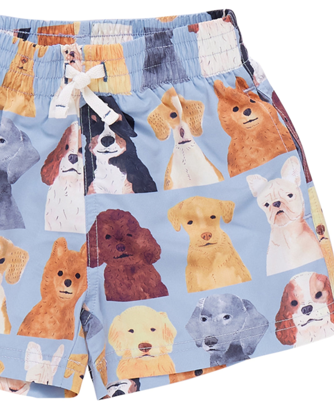 Boys Swim Trunk - Light Blue Watercolor Dogs