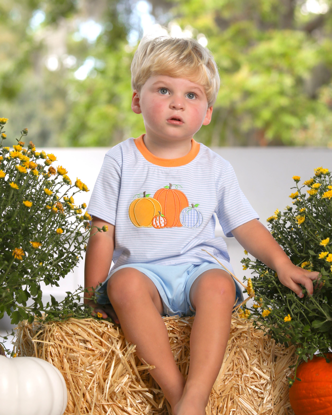 Pumpkin Patch Applique Blue Stripe Short Sleeve Shirt, child